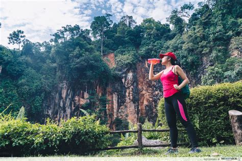 The bukit batok nature park can be found along the lorong sesuai area of singapore and is a great place for visitors to therefore, bukit batok nature park is certainly a great place to take a relaxing stroll. 6 Beginner-Friendly Walking Trails In Singapore That Even ...