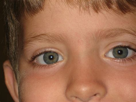 Blue Gray Eyes Marcia Conner Flickr