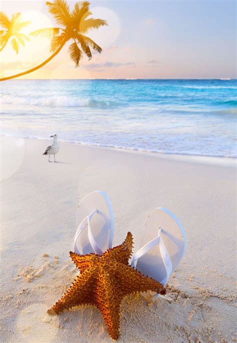 Beach Dream Jigsaw Puzzle