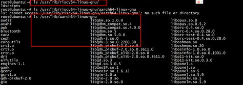 Riscv Linuxgnugcc