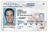 Renew License Written Test Pictures