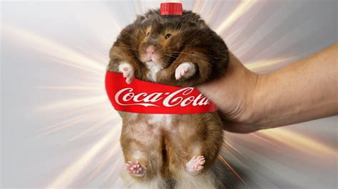 Diet Coke The Worlds Biggest Hamster Youtube