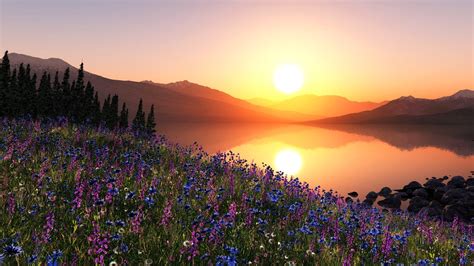 Hd Wallpaper Sky Sun Sunset Mountain Tree Slope Meadow Flower