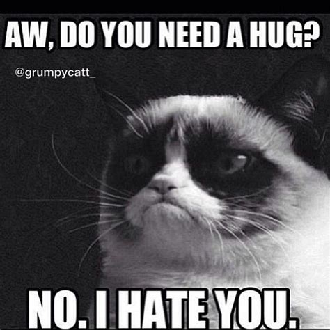 Need A Hug Grumpy With Images Grumpy Cat Funny Character Grumpy