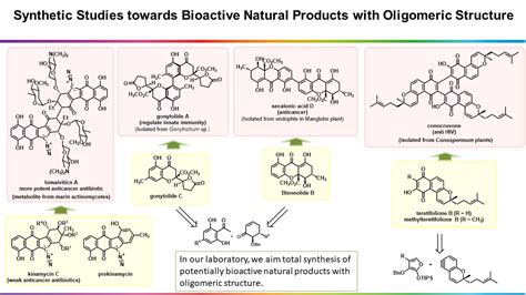 Synthetic Organic Chemistry Hiroshima University