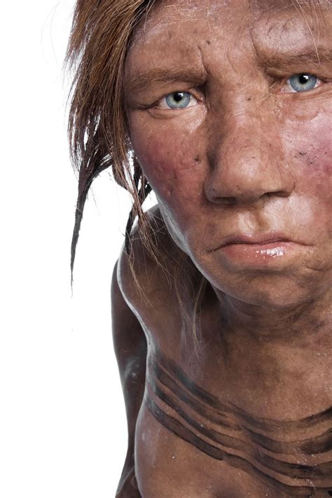 The Kennis Brothers Natural History Model Rockstars Forensic Facial Reconstruction Human