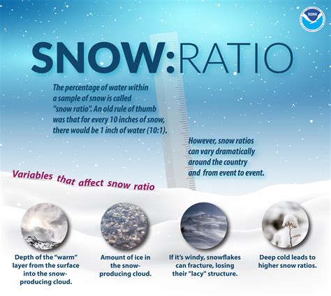 Winter Infographics