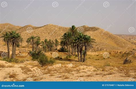Mountain Landscape In Tunisia Africa Stock Image Image Of Desert
