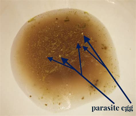 Passing Parasites On Gaps Naturally Lauren Meadowsweet