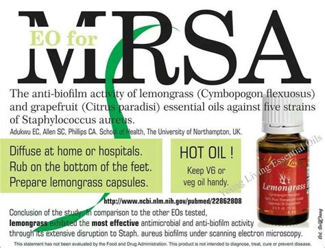 17 Best Images About Mrsa On Pinterest Young Living Essential Oils