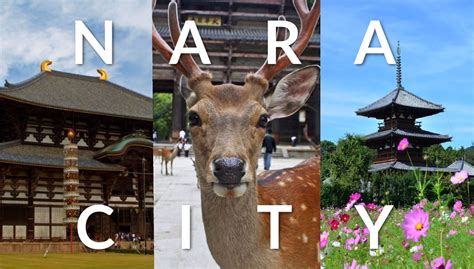 City Spotlight Nara Japan