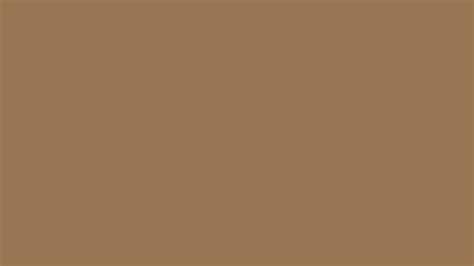 1920x1080 Pale Brown Solid Color Background