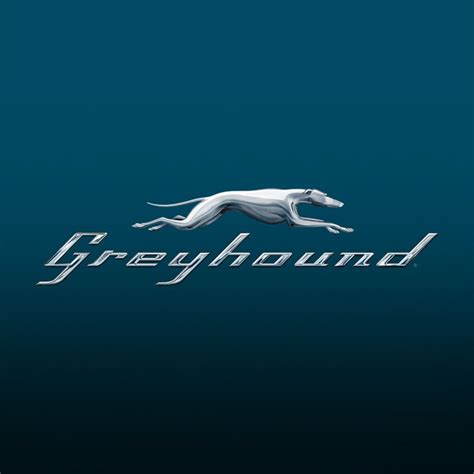 Greyhound Bus Lines 22 Photos And 15 Reviews Transportation 701