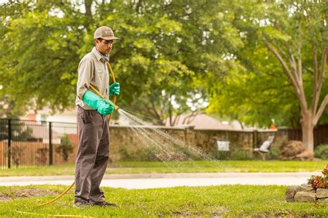 Perfect Lawn Maintenance Timing When To Fertilize Water Spray Weeds