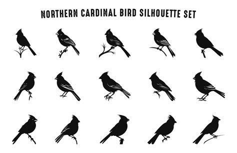 Northern Cardinal Bird Silhouettes Vector Set Cardinal Bird Silhouette