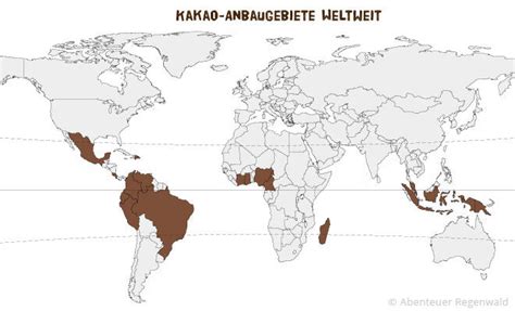Süßes mit bitterem beigeschmack → wo wird kakao angebaut? Kakaobaum - Pflanzen im Regenwald - Abenteuer Regenwald