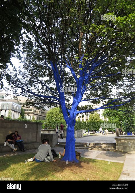 Trees For Cities Had Commissioned Australian Artist Konstantin