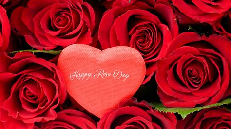 7th Feb Rose Day Wallpaper Hd All Color Of Roses For Lover And Friends