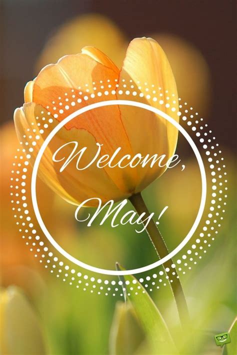 Welcome May Quotes For Printrest And Tumblr Oppidan Library