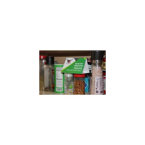 Pantry pests do not transmit diseases or sting you, but they contaminate food and make it unusable. Pantry Moth Traps With Pheromones Pest Trap For Kitchen ...