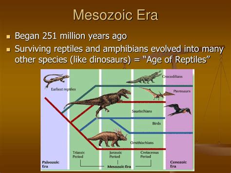 Ppt Geologic Time Scale Powerpoint Presentation Free Download Id