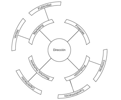 Organigrama Circular Que es y sus Características Ejemplos Organigramas
