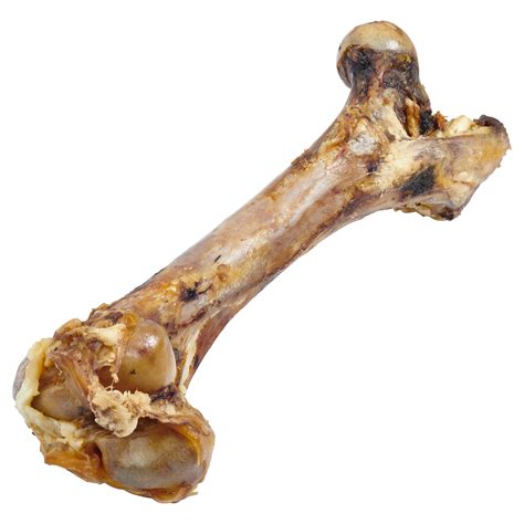 Ecokind Giant Dog Bone Grass Fed Beef Femur Bone For Large Dogs