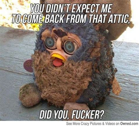 Furbies Pictures Furby Weird Pictures Funny Pictures