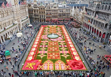 To Warto Zobaczy Dywan Kwiatowy W Brukseli Natemat Pl