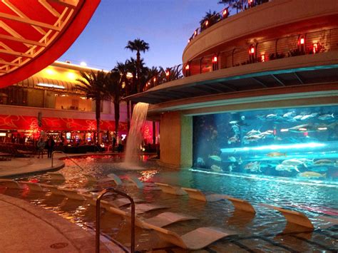 The Pool At The Golden Nugget Las Vegas Nevada Las Vegas Vegas