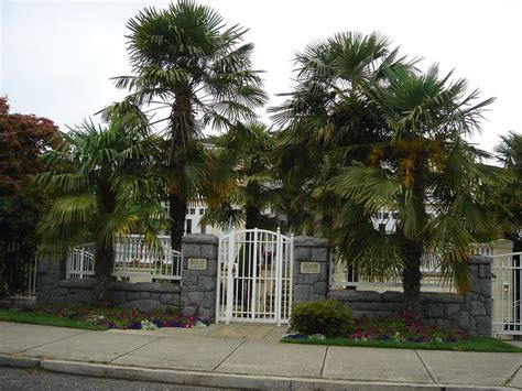 We pride ourselves as all inclusive travel specialist and think to provide the best all inclusive vacation website in canada. Palm Trees of Canada - Page 3 - SkyscraperPage Forum