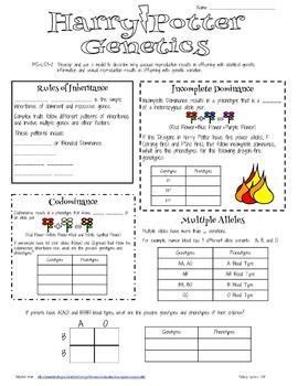 Savesave answer key worksheet.docx for later. Biology Karyotype Worksheet Answers Key - worksheet