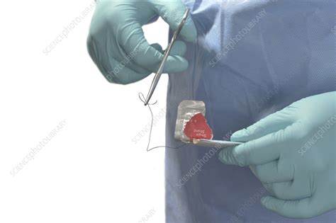 Surgical Suture Stock Image F0359516 Science Photo Library