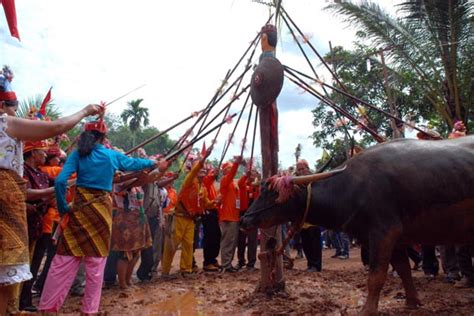 The Culture Of The World Ritual Tiwah Masyarakat Dayak Kalimantan Tengah