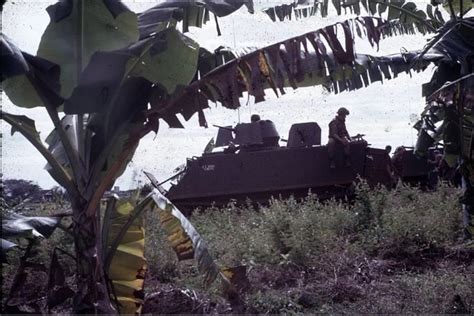 M113 Acav F Troop 11 Acr Blackhorse Vietnam 1966 67 Flickr