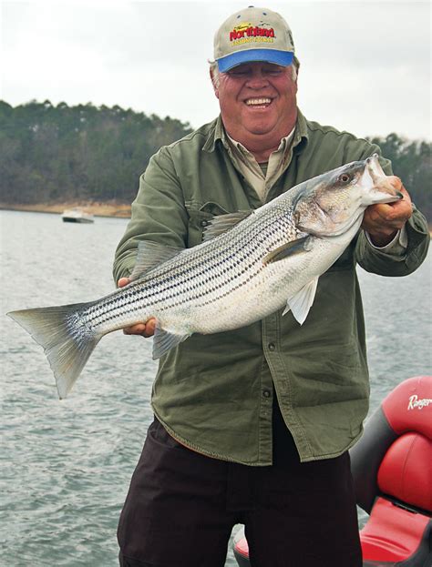 Hotspots For Arkansas Summer Stripers Game And Fish