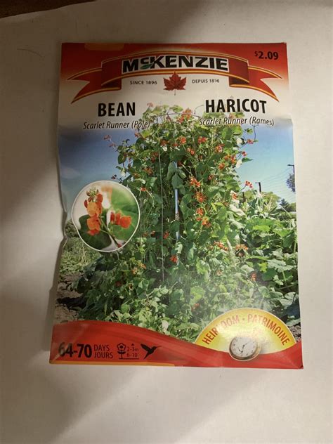 Mckenzie Seed Bean Scarlet Runner Pole Winnipeg Greenhouses And