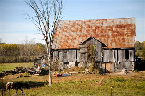 Old Farm Yard Stock Photo Download Image Now Abandoned Aging