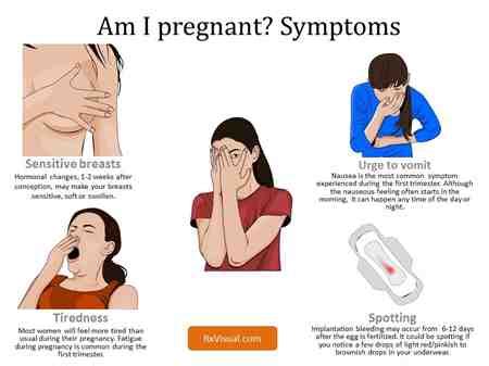 Is it normal to have 2 periods in a month. Menstrual Bleeding For 2 Weeks Straight Bloating Missed ...