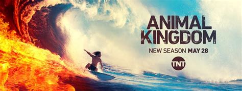 Check out an exclusive new poster for season 4 below. Animal Kingdom TV Show on TNT: Ratings (Cancelled or ...