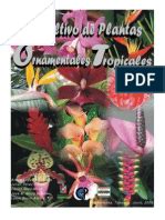 Cultivar cactus y suculentas en interiores y invernaderos. Guia Para El Cuidado de Cactus y Plantas Crasas