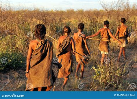 Buszmeni W Kalahari Pustyni Zdjęcie Editorial Obraz Złożonej Z Miejscowy Afrykanin 47474946