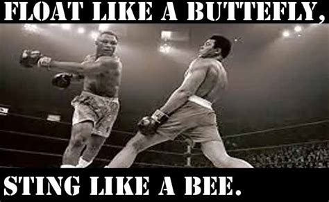 In order to be at the top and maintain your focus you have to have something that motivates you. Float Like A Butterfly Sting Like A Bee. ~ Boxing Quotes ...