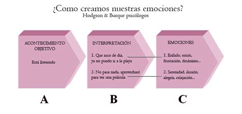 El Abc De Nuestras Emociones Y De Nuestra Felicidad Filmoterapia