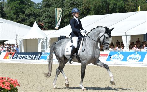 Jun 10, 2021 · the morning session of dressage is complete at bicton international horse trials, supported by chedington, and the final combination in the arena before lunch today (10 june), ros canter and. Six-year-old World Young Dressage Horse Championship at ...