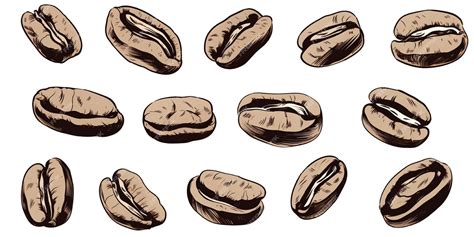 Premium Ai Image Set Of Coffee Beans Illustration