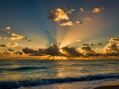 Good Morning Ocean Sunrise Morning Beach Internationalspalaguna