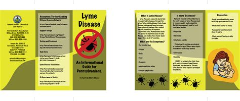 Lyme Disease Brochure 4005 By Rikusoreos On Deviantart