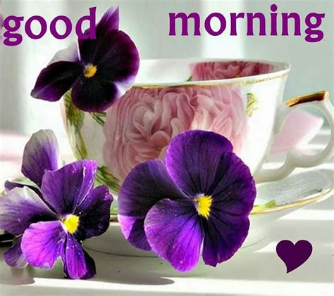 Good Morning Gd Morning Morning Coffee Happy Saturday Happy Day