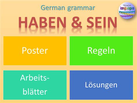 German Haben Und Sein Teaching Resources